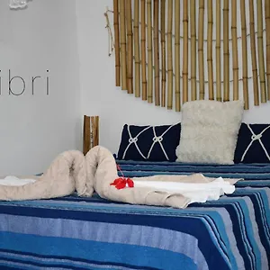 https://apt-o-logis-du-morne-jacob-colibri-martinique.comcaribbean.com